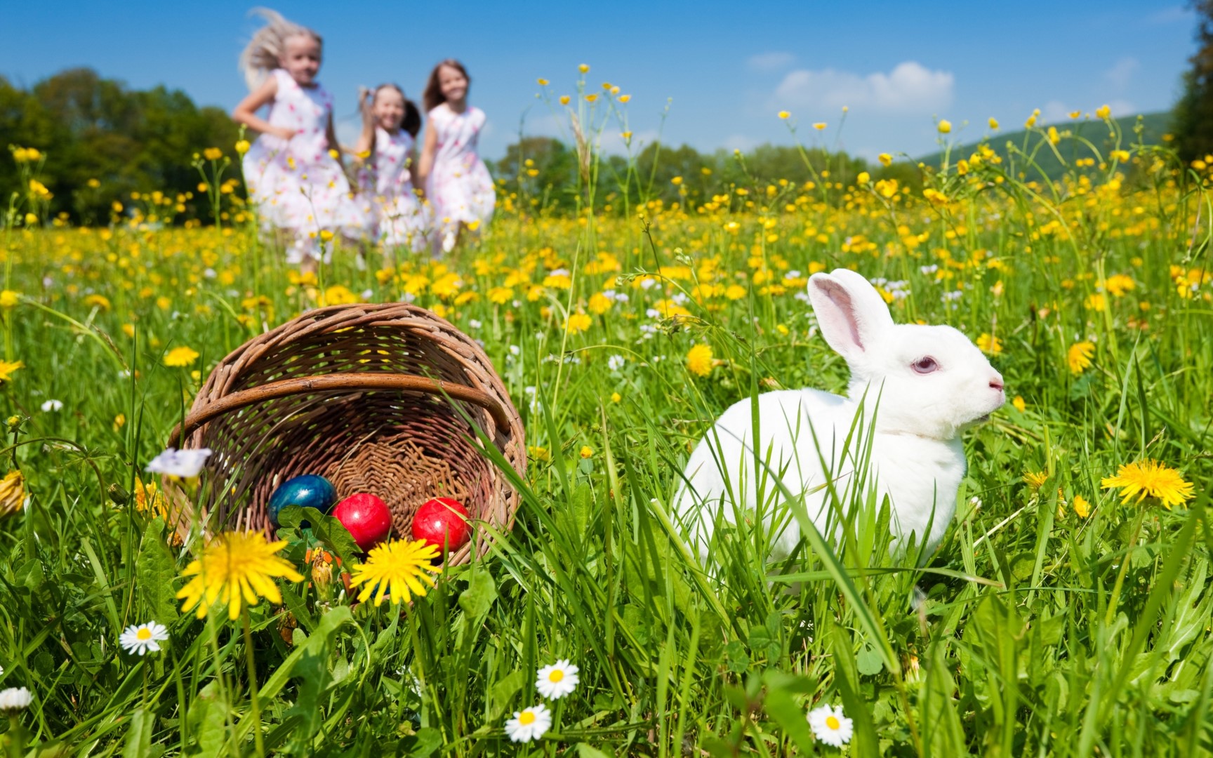 49_t_Easter-basket-spring-time_5120x3200.jpg