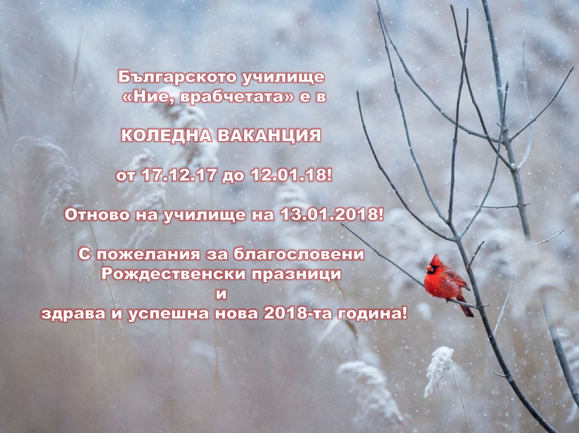 Българското училище «Ние, врабчетата» е в КОЛЕДНА ВАКАНЦИЯ от 17.12.17 до 12.01.18! Отново на училище на 13.01.2018!